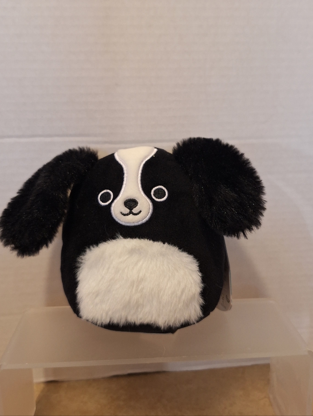 Squishmallows 5" Nathaniel Black White Cocker Spaniel #1079